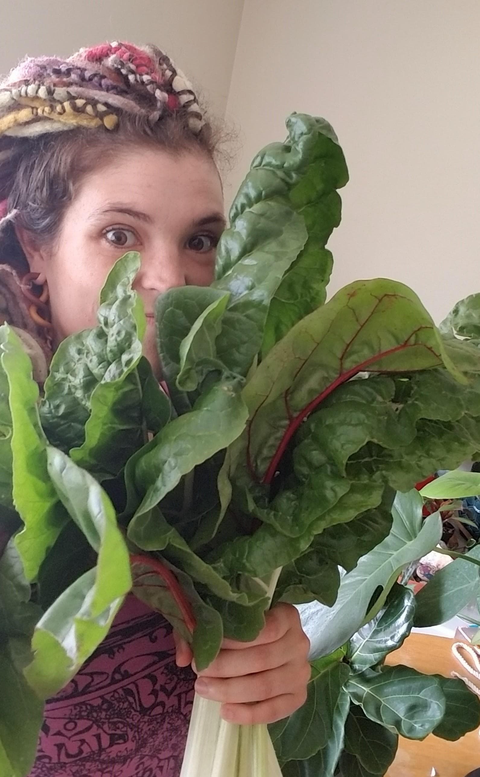 Photo of me last year with a large bunch of chard